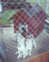 9980309942972.gif
